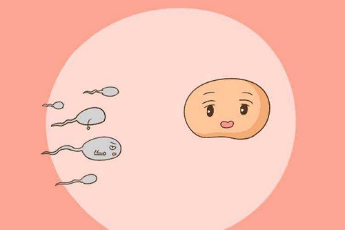 试管婴儿过程中宫外孕可以避免吗？