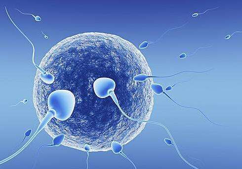 降低胚胎碎片有利于泰国试管婴儿一次成功