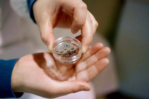 选择泰国试管婴儿医院需要注意什么骗局