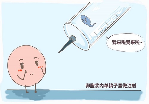 通过泰国试管婴儿生育，并不能排除宫外孕的发生