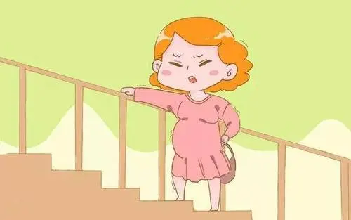 赴泰国试管婴儿注意胚胎停育这一潜在危险
