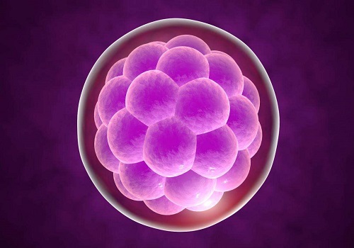 输卵管发育异常将会导致不孕不育
