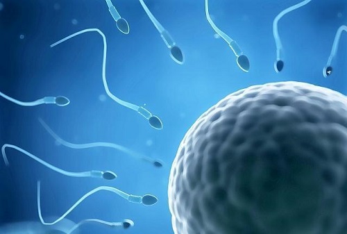 输卵管粘连为什么会造成不孕不育？泰国试管婴儿怎么解决？