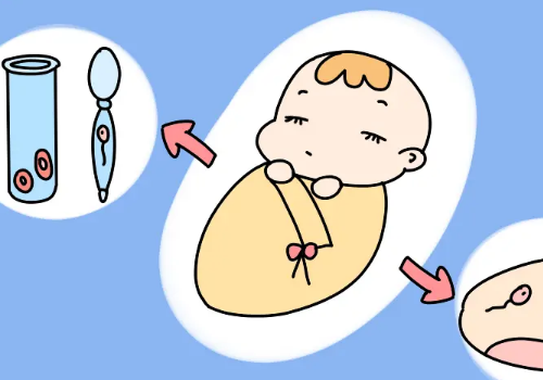 哪个医院去做试管婴儿的成功率比较的高