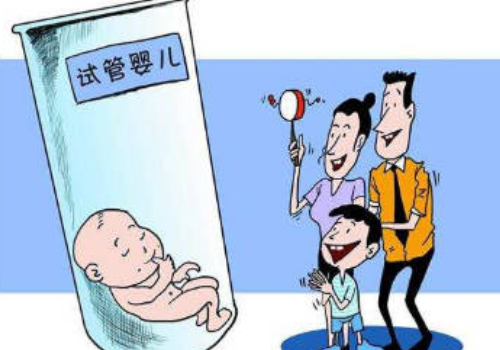 试管的费用是多少