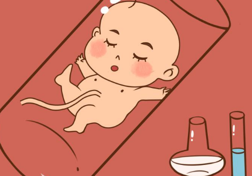 泰国试管婴儿费用高于国内试管的原因是什么