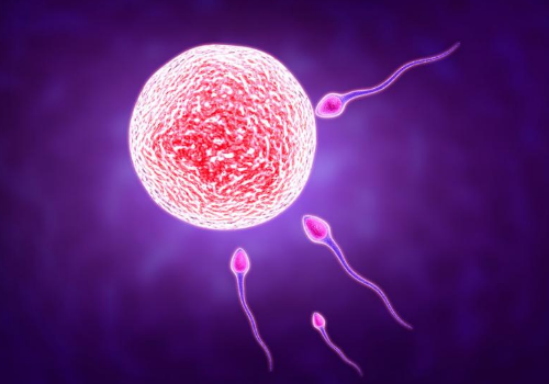 第三代试管婴儿价格费用大概是多少呢