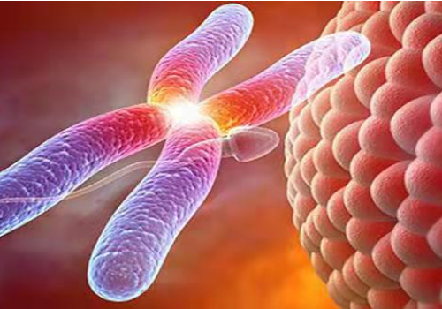 做二代试管取卵费用明细是什么