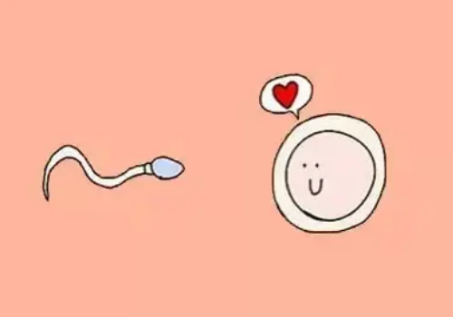 俄罗斯试管婴儿多少钱