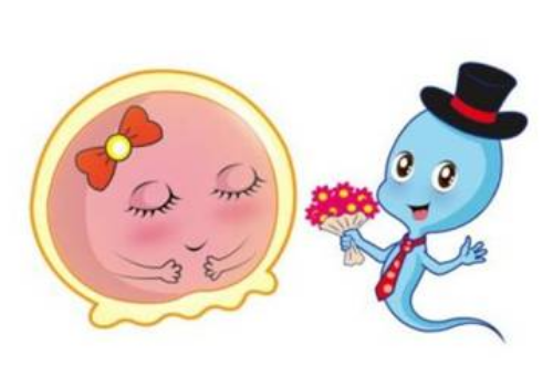 做海外试管需要多少钱