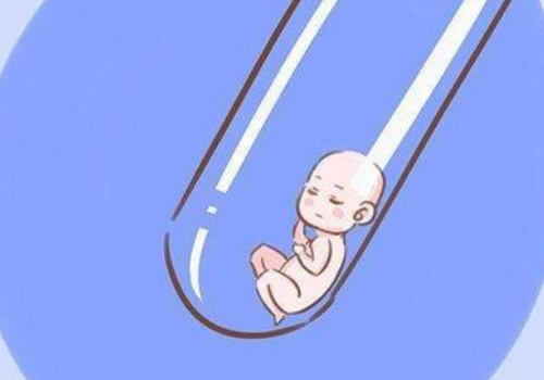 试管婴儿囊胚移植成功率高吗