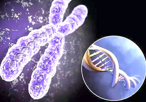 试管婴儿在哪里能做