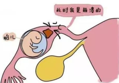 做试管最好的医院
