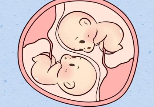 泰国试管的详细流程