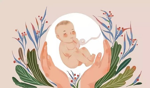 俄罗斯试管婴儿三胞胎的费用