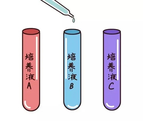 海外三代试管婴儿费用明细清单
