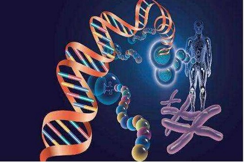 精子存在畸形怎么去做试管婴儿