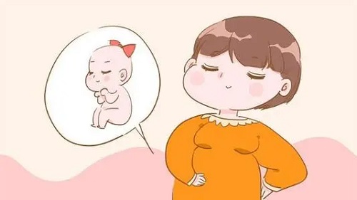 泰国试管费用？