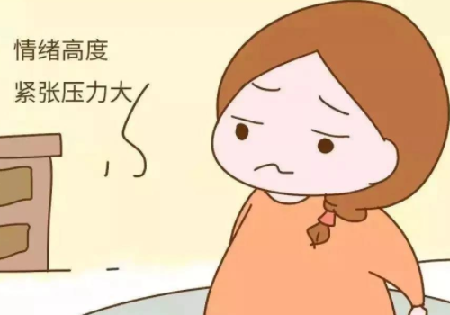 试管能生吗要多少钱?