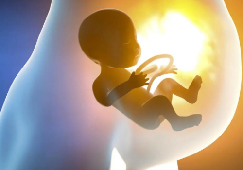 试管生成功率高吗？