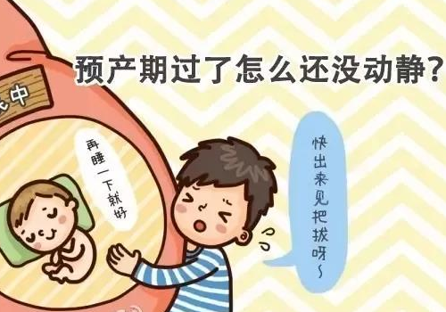 泰国试管详细流程步骤？​