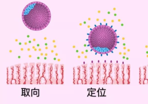 去泰国做试管的条件？