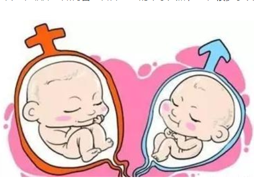 泰国试管服务机构？