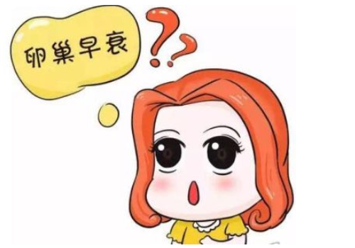 泰国试管婴儿服务机构？​