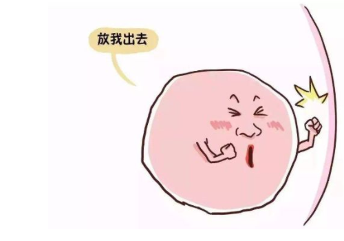 泰国试管步骤费用？