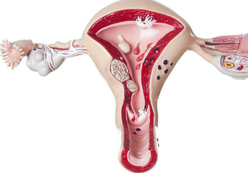 俄罗斯试管技术靠谱吗？